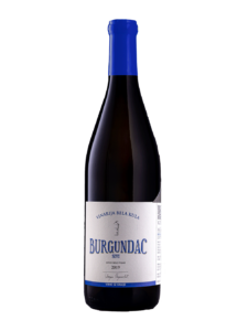 Burgundac sivi